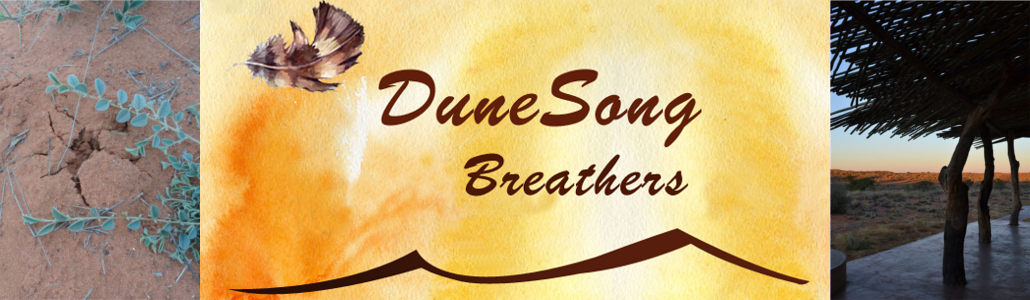 Dune Song Tariffs - Logo Nabas